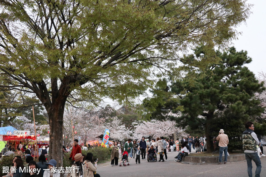 跟著 Mikey 一家去旅行 - 【 京都 】圓山公園