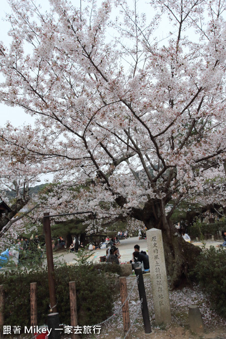 跟著 Mikey 一家去旅行 - 【 京都 】圓山公園