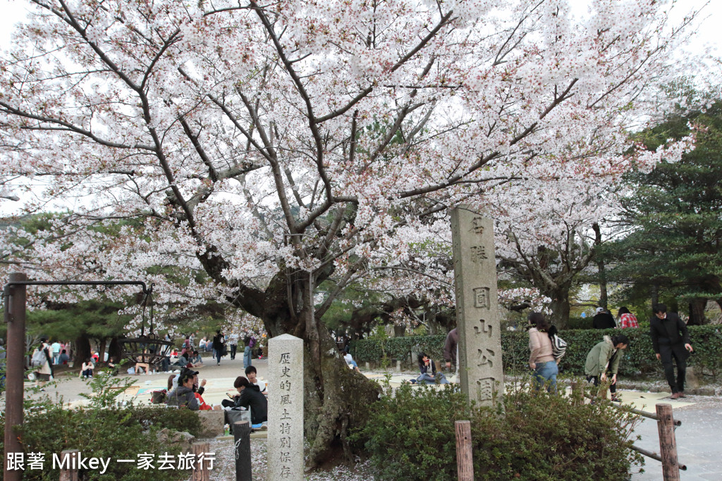 跟著 Mikey 一家去旅行 - 【 京都 】圓山公園