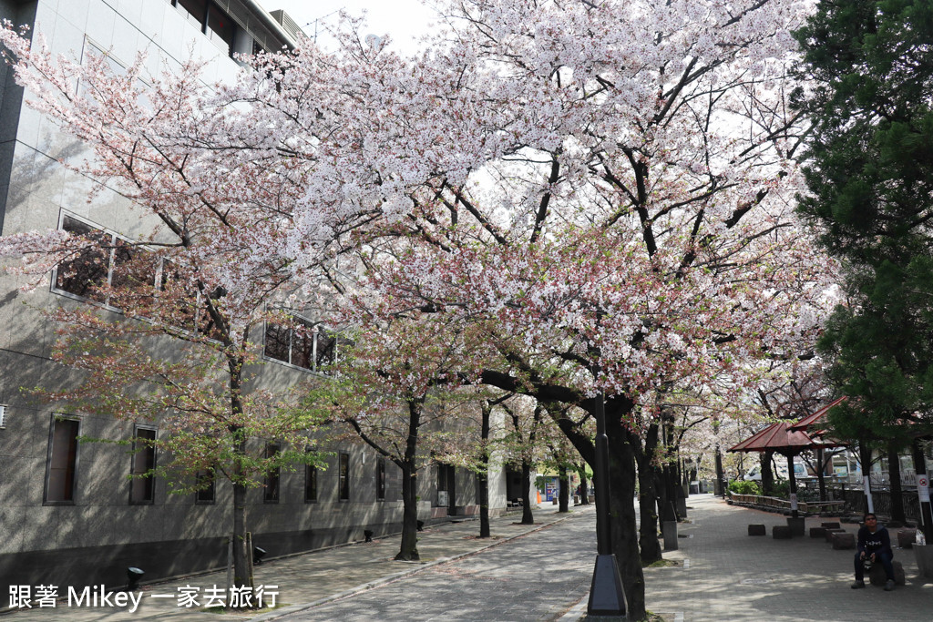 跟著 Mikey 一家去旅行 - 【 京都 】京都祇園、花見小路 - 白天篇