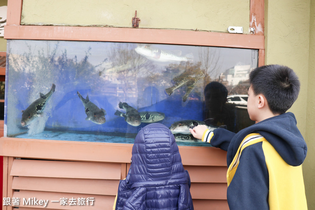 跟著 Mikey 一家去旅行 - 【 京都 】京都祇園、花見小路 - 白天篇