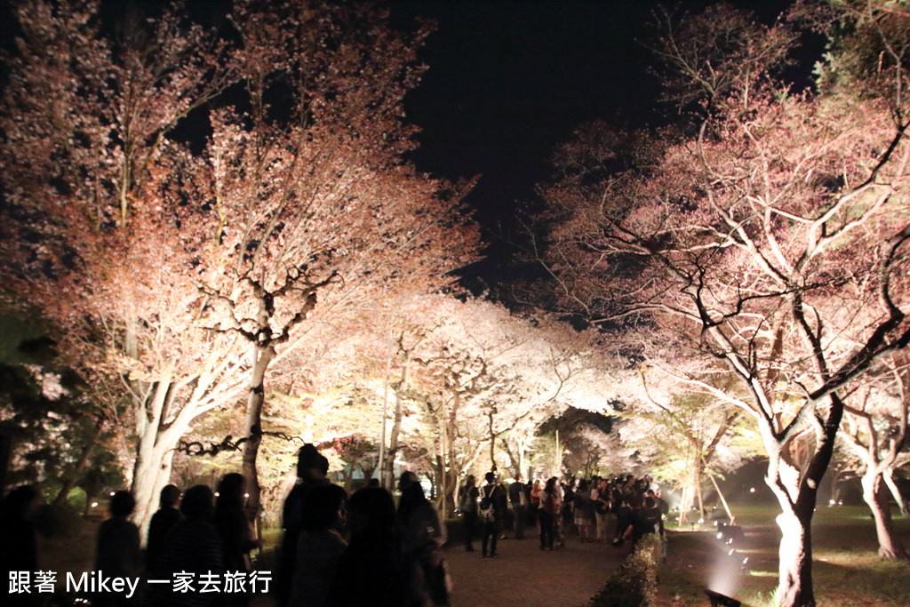 跟著 Mikey 一家去旅行 - 【 京都 】二條城 - 夜櫻 - Part 2