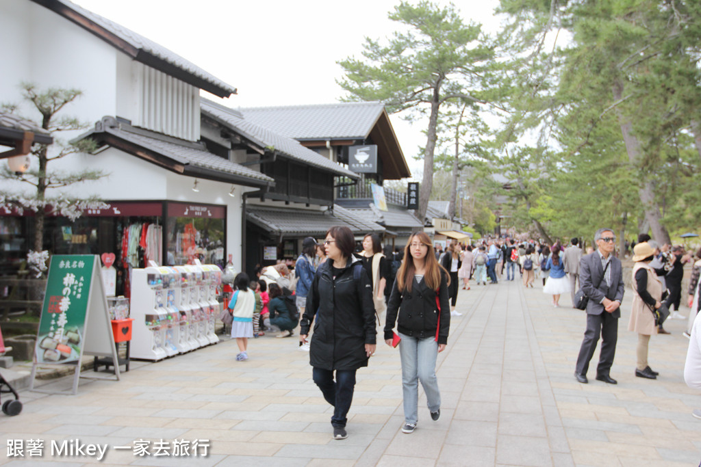 跟著 Mikey 一家去旅行 - 【 奈良 】奈良公園