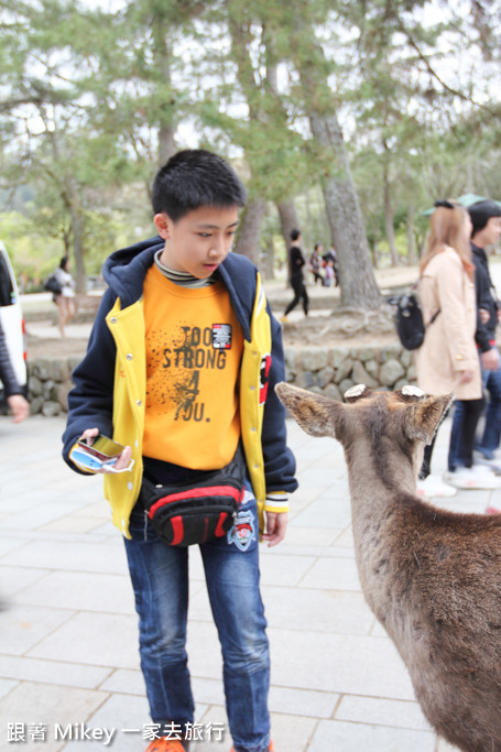 跟著 Mikey 一家去旅行 - 【 奈良 】奈良公園