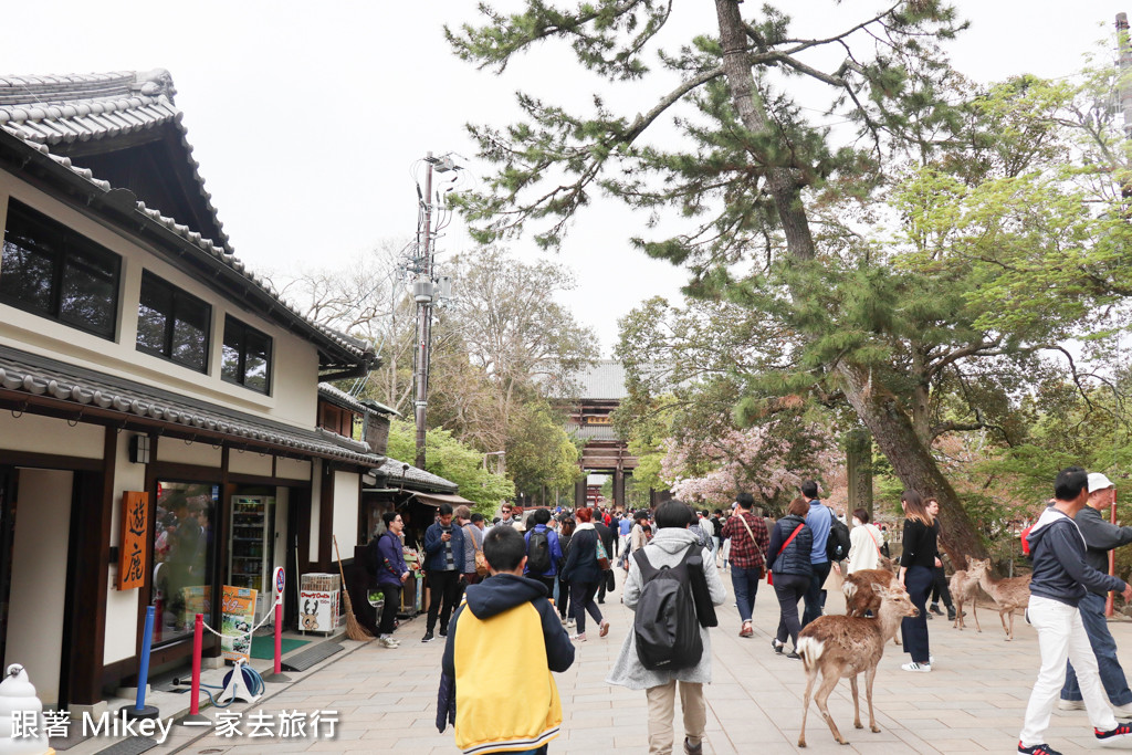 跟著 Mikey 一家去旅行 - 【 奈良 】奈良公園