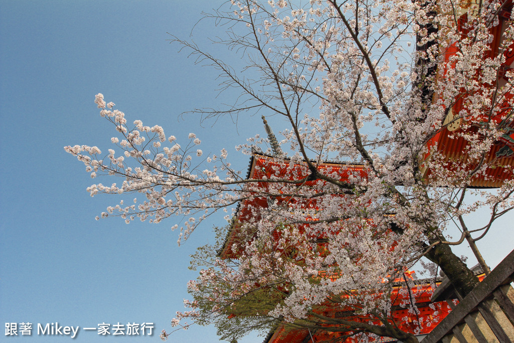 跟著 Mikey 一家去旅行 - 【 京都 】清水寺