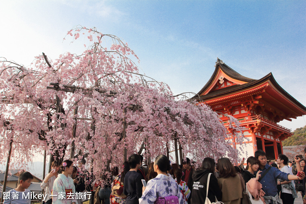 跟著 Mikey 一家去旅行 - 【 京都 】清水寺