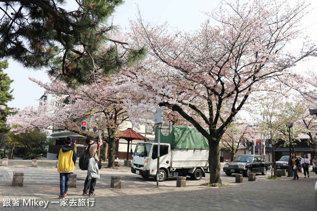 跟著 Mikey 一家去旅行 - 【 京都 】祇園、鴨川 - 櫻花