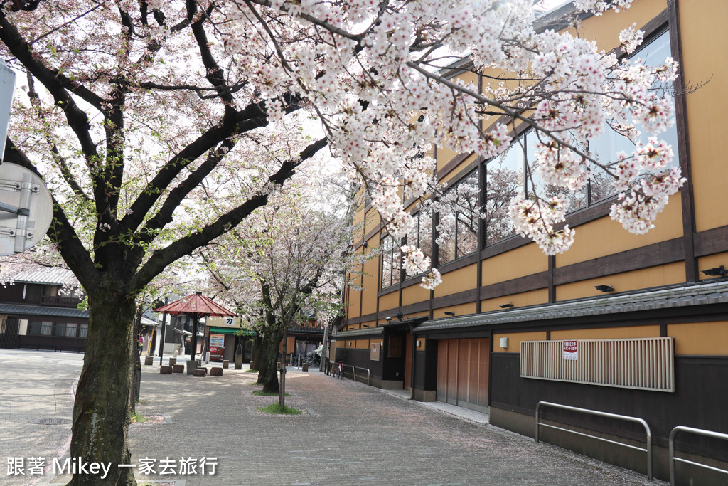 跟著 Mikey 一家去旅行 - 【 京都 】祇園、鴨川 - 櫻花