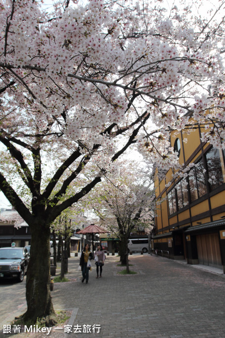 跟著 Mikey 一家去旅行 - 【 京都 】祇園、鴨川 - 櫻花