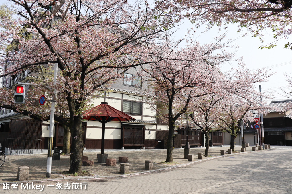 跟著 Mikey 一家去旅行 - 【 京都 】祇園、鴨川 - 櫻花