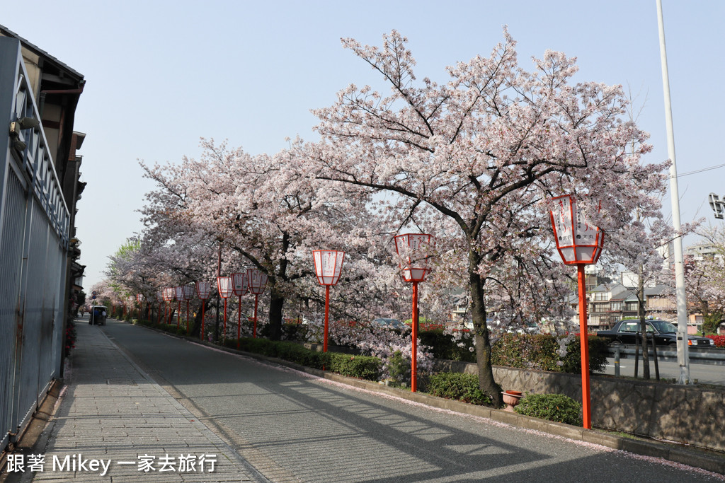 跟著 Mikey 一家去旅行 - 【 京都 】祇園、鴨川 - 櫻花