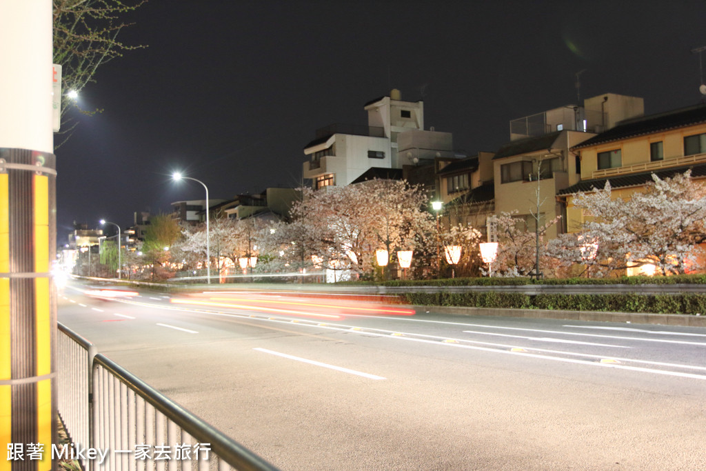 跟著 Mikey 一家去旅行 - 【 京都 】祇園、鴨川 - 夜櫻