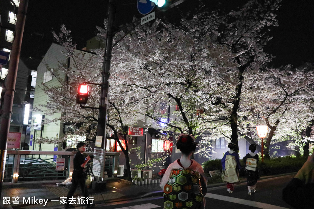 跟著 Mikey 一家去旅行 - 【 京都 】祇園、鴨川 - 夜櫻