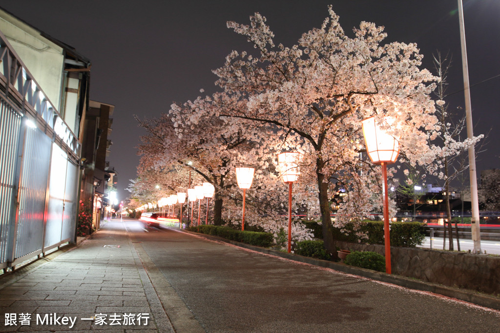 跟著 Mikey 一家去旅行 - 【 京都 】祇園、鴨川 - 夜櫻