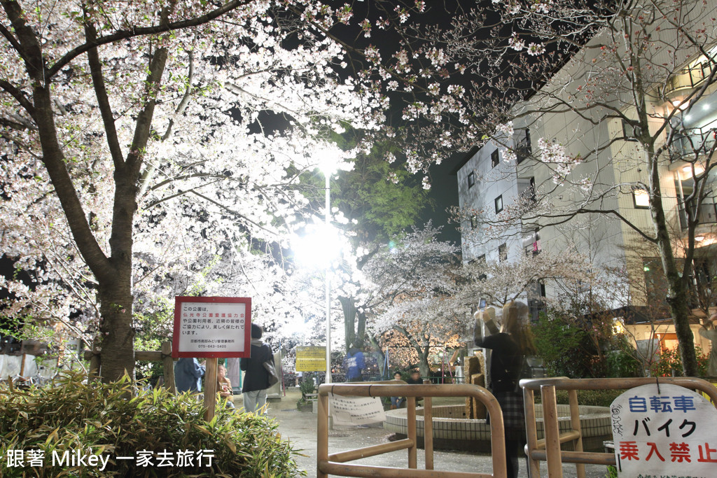 跟著 Mikey 一家去旅行 - 【 京都 】祇園、鴨川 - 夜櫻