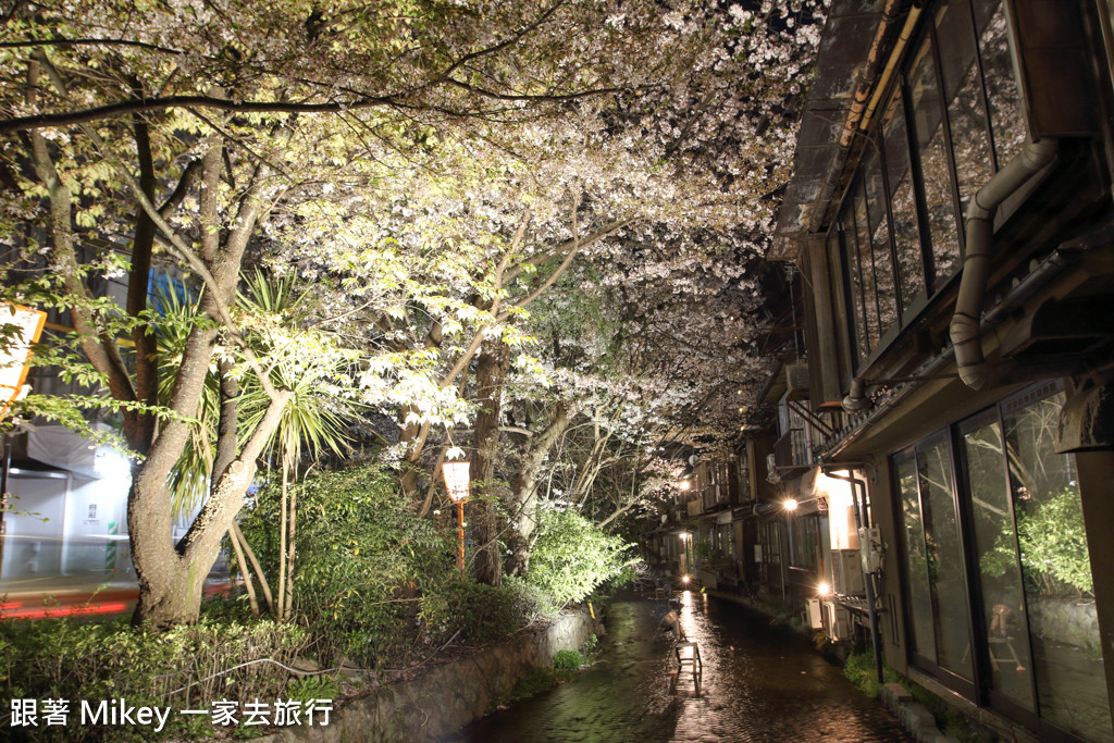 跟著 Mikey 一家去旅行 - 【 京都 】祇園、鴨川 - 夜櫻