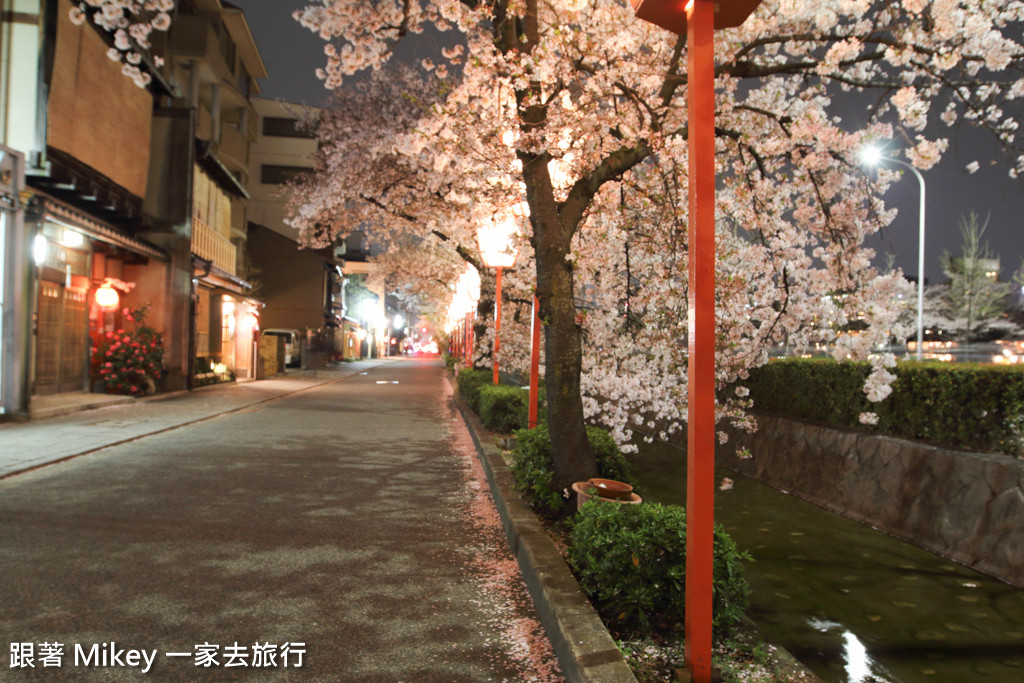 跟著 Mikey 一家去旅行 - 【 京都 】祇園、鴨川 - 夜櫻