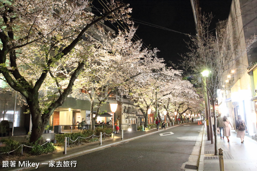 跟著 Mikey 一家去旅行 - 【 京都 】祇園、鴨川 - 夜櫻