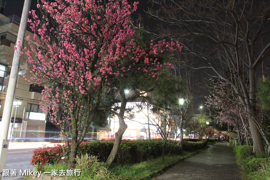 跟著 Mikey 一家去旅行 - 【 京都 】祇園、鴨川 - 夜櫻