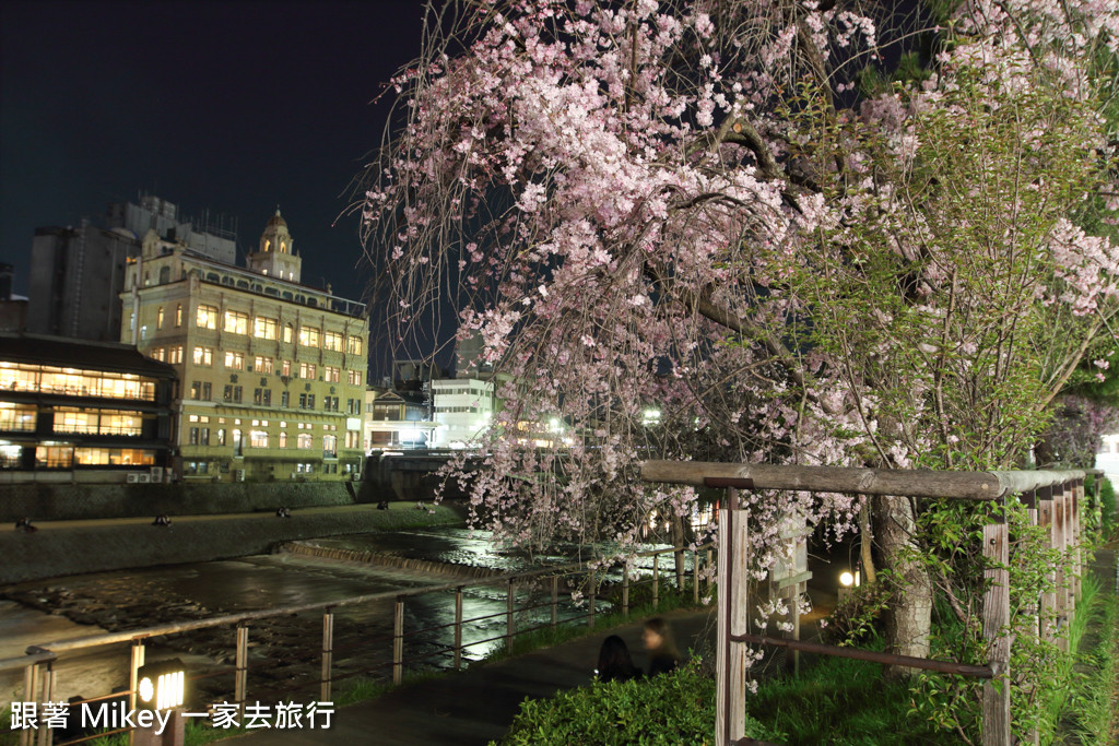 跟著 Mikey 一家去旅行 - 【 京都 】祇園、鴨川 - 夜櫻