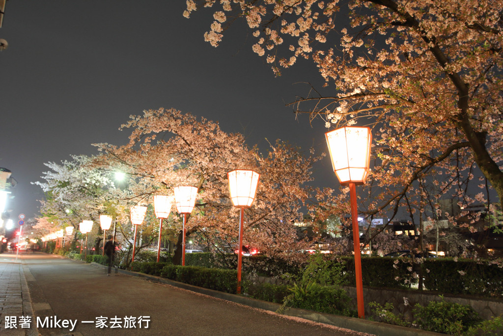 跟著 Mikey 一家去旅行 - 【 京都 】祇園、鴨川 - 夜櫻