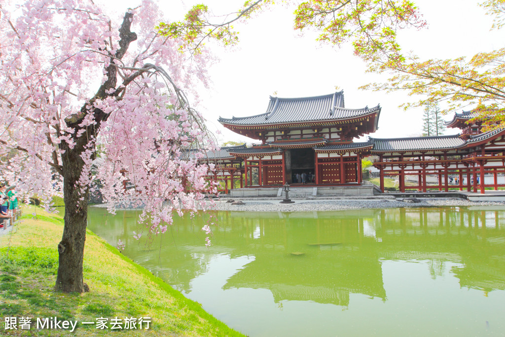 跟著 Mikey 一家去旅行 - 【 京都 】平等院 - Part 2