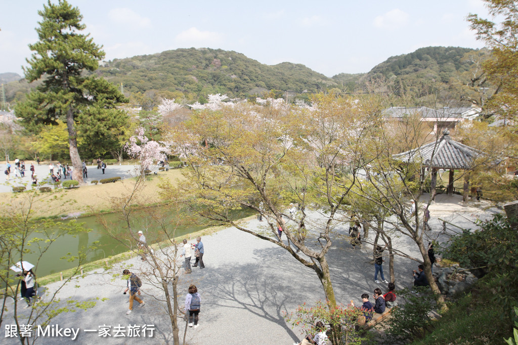 跟著 Mikey 一家去旅行 - 【 京都 】平等院 - Part 2