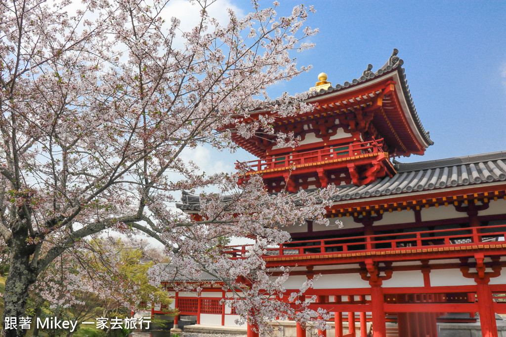 跟著 Mikey 一家去旅行 - 【 京都 】平等院 - Part 2