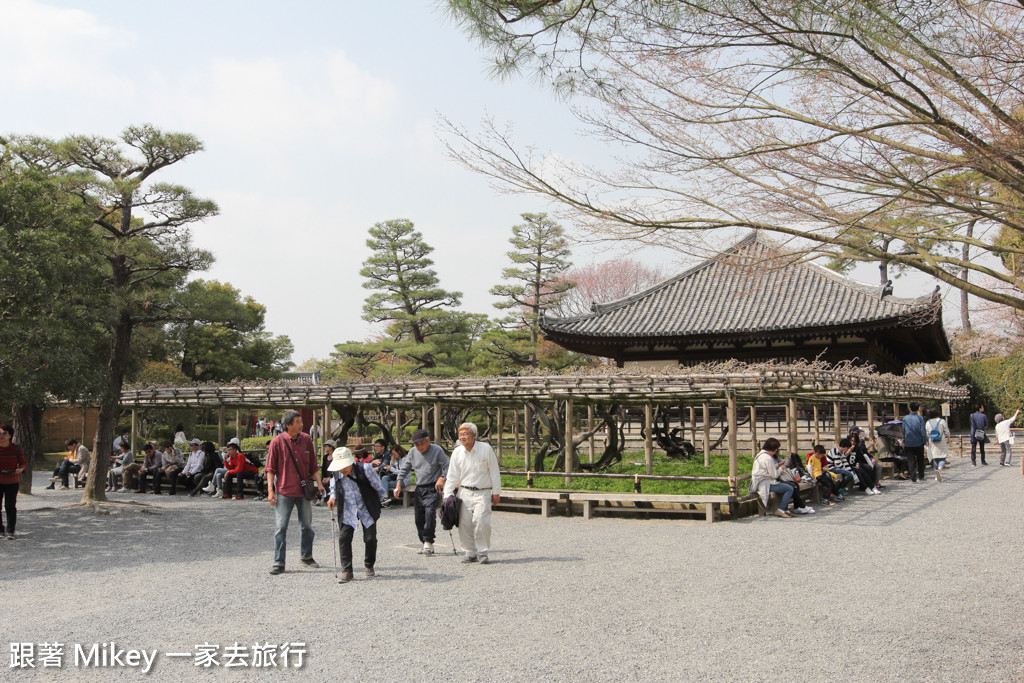 跟著 Mikey 一家去旅行 - 【 京都 】平等院 - Part 2