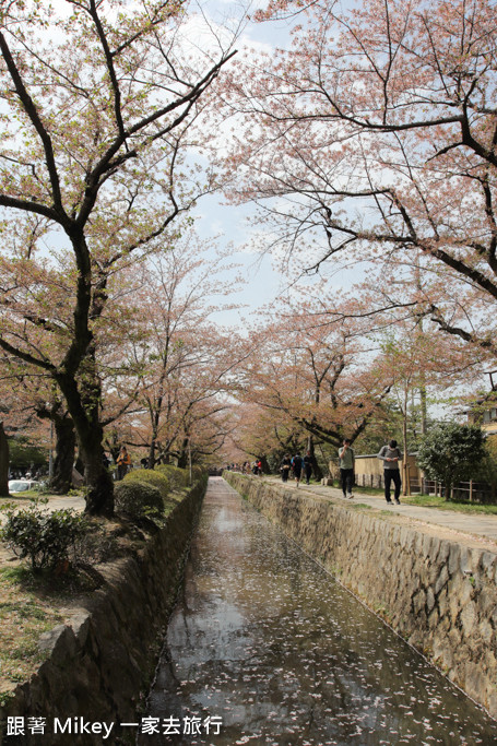 跟著 Mikey 一家去旅行 - 【 京都 】哲學之道