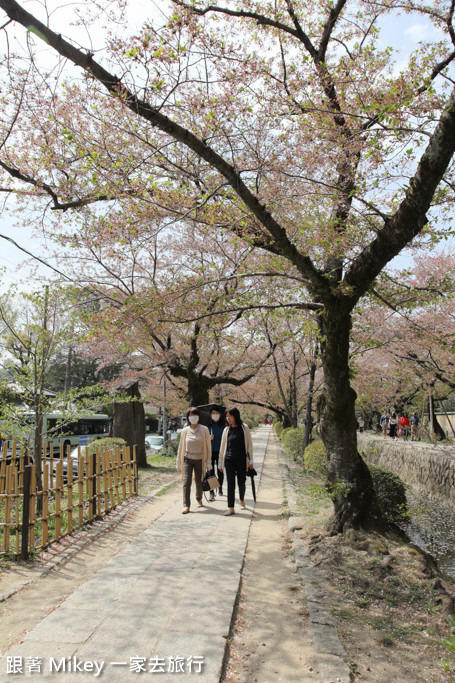 跟著 Mikey 一家去旅行 - 【 京都 】哲學之道