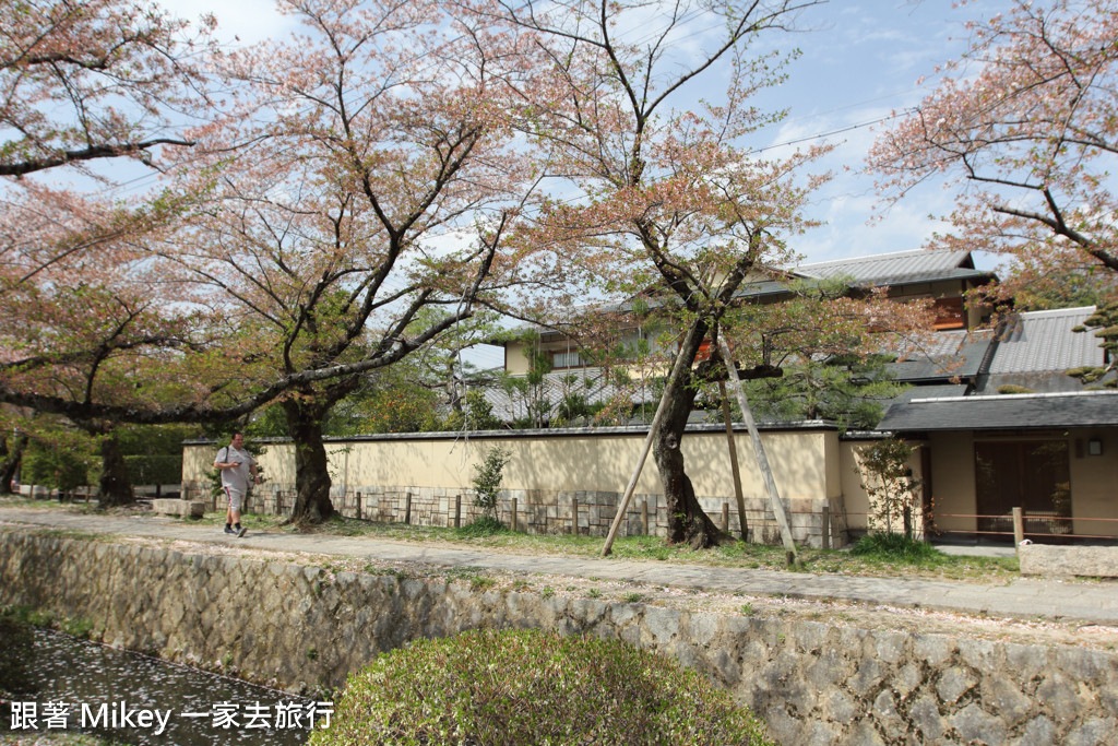 跟著 Mikey 一家去旅行 - 【 京都 】哲學之道