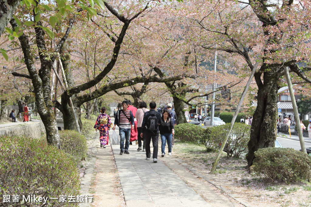 跟著 Mikey 一家去旅行 - 【 京都 】哲學之道