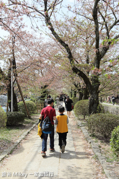 跟著 Mikey 一家去旅行 - 【 京都 】哲學之道