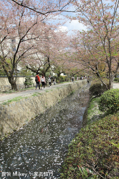 跟著 Mikey 一家去旅行 - 【 京都 】哲學之道