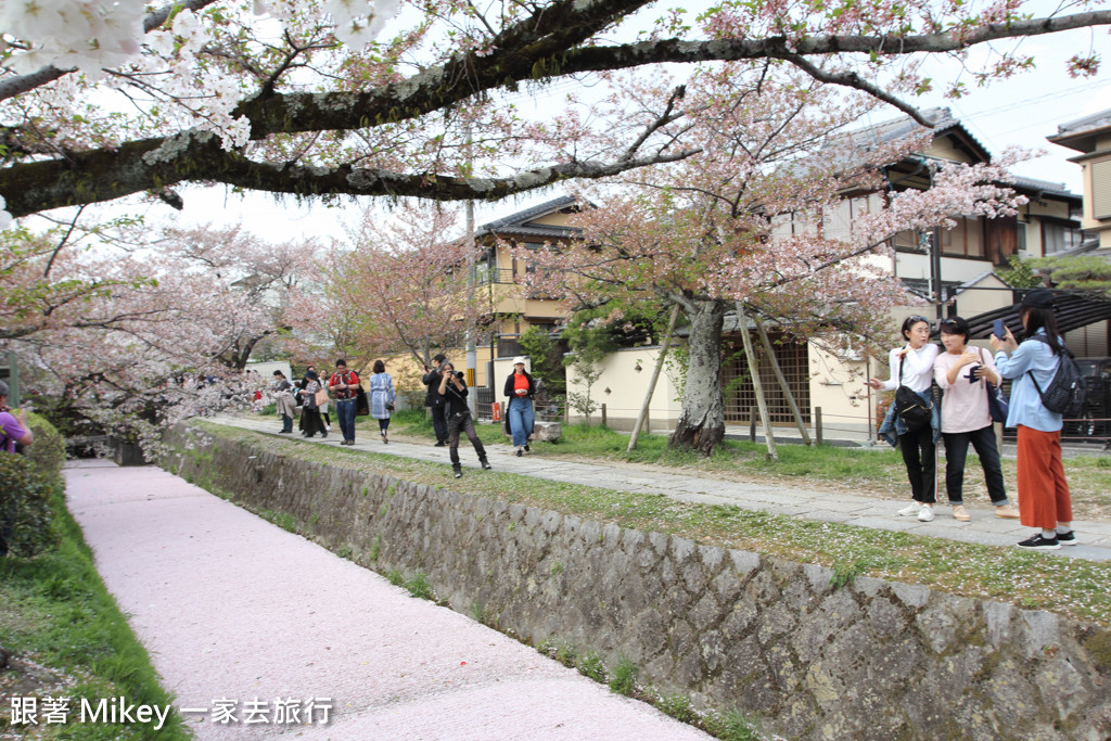 跟著 Mikey 一家去旅行 - 【 京都 】哲學之道