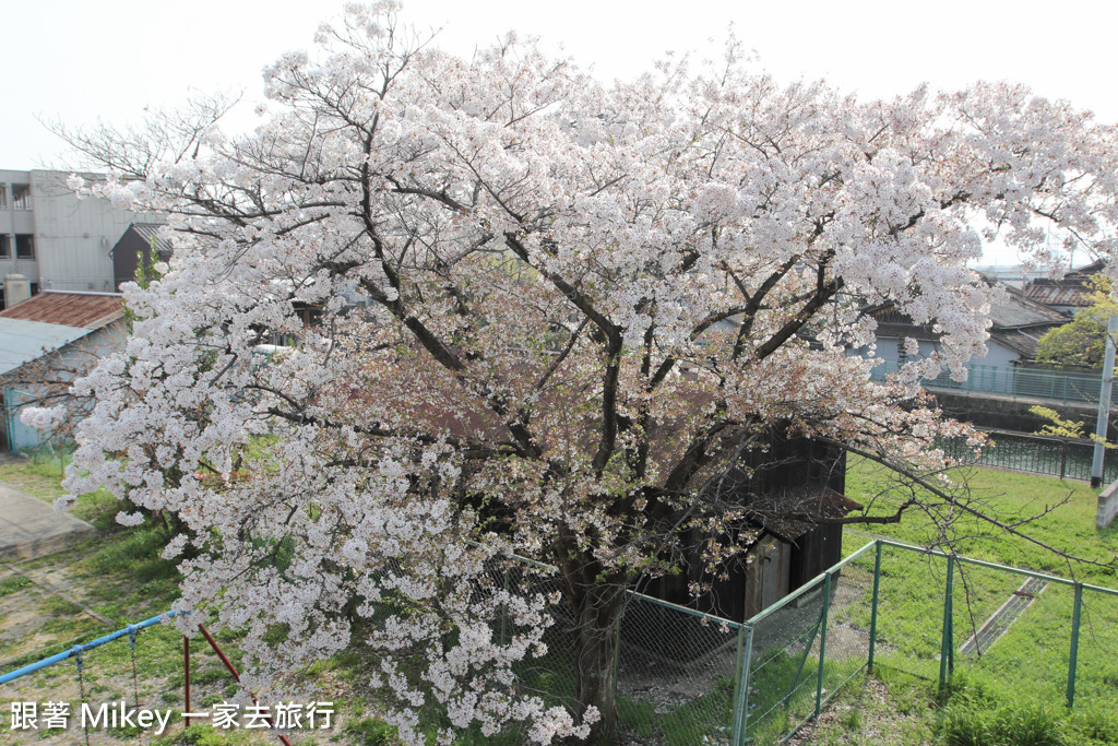 跟著 Mikey 一家去旅行 - 【 京都 】伏見稻荷大社 - Part I