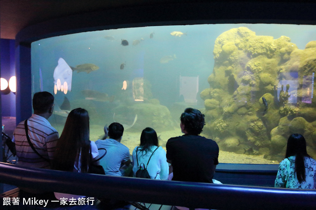 跟著 Mikey 一家去旅行 - 【 馬公 】澎湖水族館 - Part 2