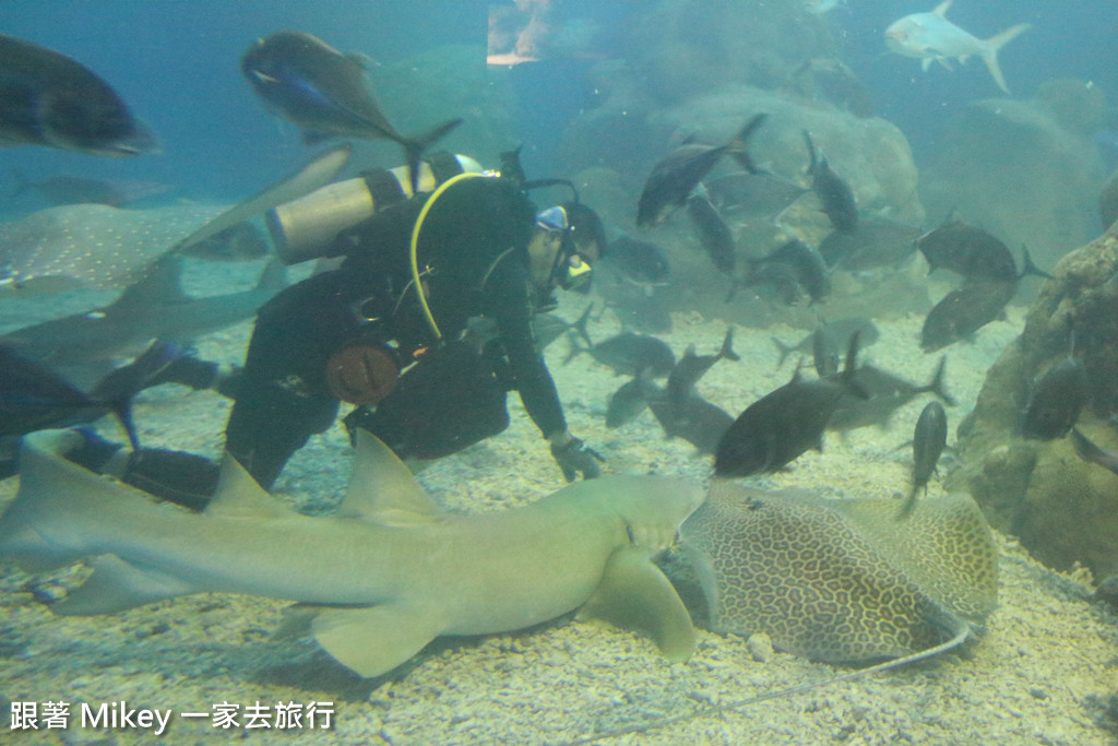 跟著 Mikey 一家去旅行 - 【 馬公 】澎湖水族館 - Part 2