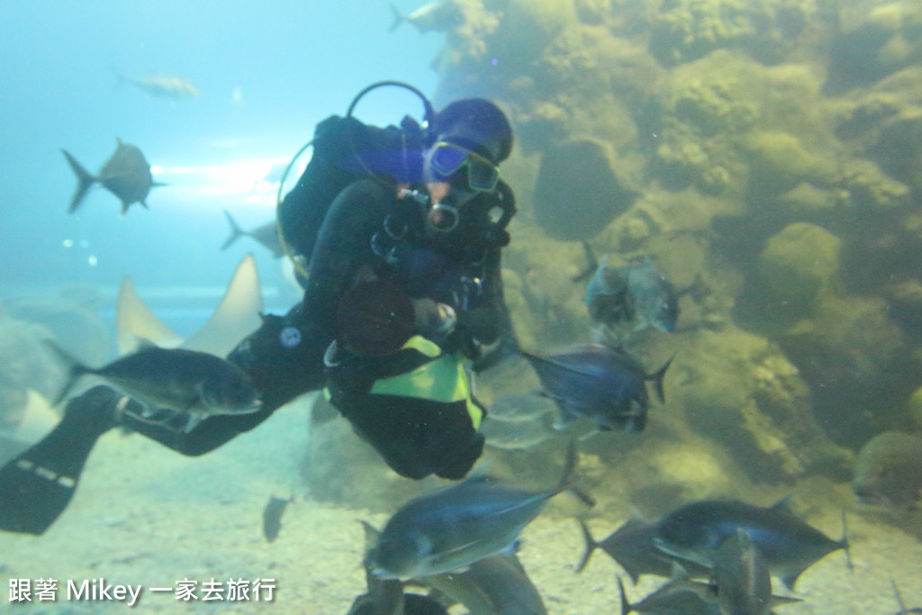 跟著 Mikey 一家去旅行 - 【 馬公 】澎湖水族館 - Part 2