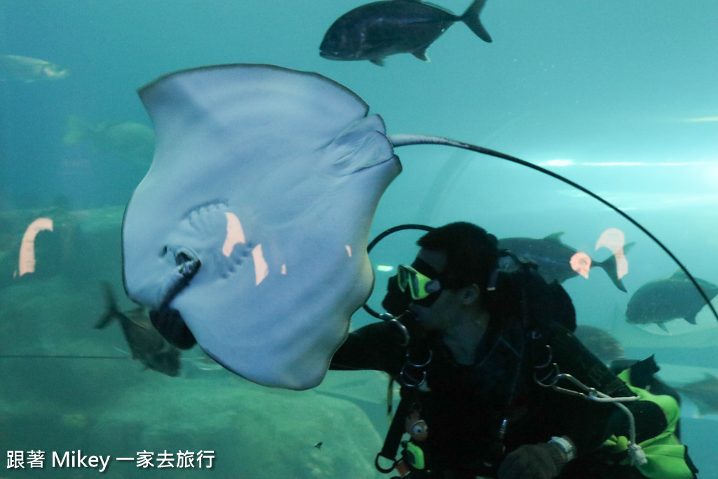 跟著 Mikey 一家去旅行 - 【 馬公 】澎湖水族館 - Part 2