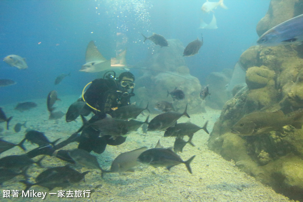 跟著 Mikey 一家去旅行 - 【 馬公 】澎湖水族館 - Part 2