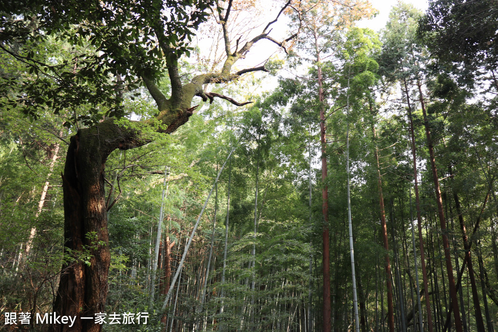 跟著 Mikey 一家去旅行 - 【 京都 】伏見稻荷大社 - Part III