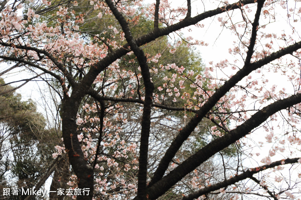 跟著 Mikey 一家去旅行 - 【 東京 】上野公園 - Part I