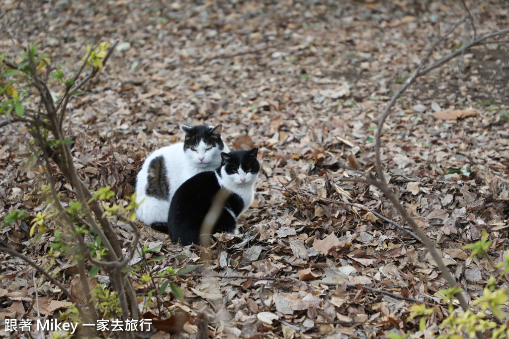 跟著 Mikey 一家去旅行 - 【 東京 】上野公園 - Part I