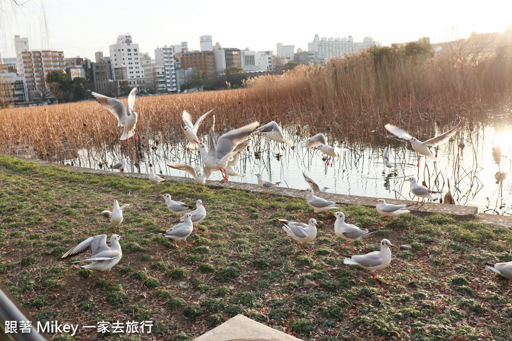 跟著 Mikey 一家去旅行 - 【 東京 】上野公園 - Part II