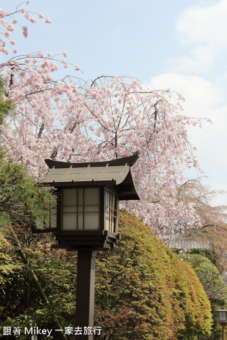 跟著 Mikey 一家去旅行 - 【 京都 】嵐山公園、嵐山渡月橋