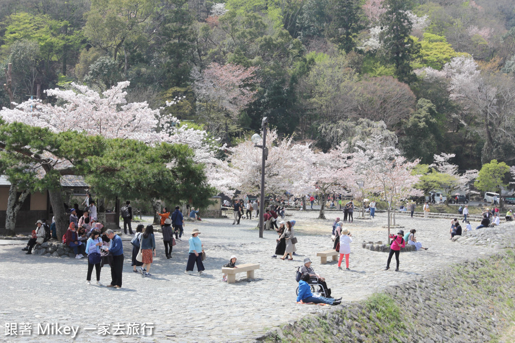 跟著 Mikey 一家去旅行 - 【 京都 】嵐山公園、嵐山渡月橋