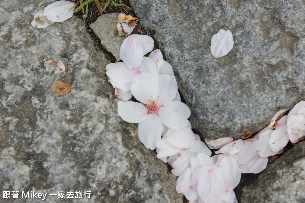 跟著 Mikey 一家去旅行 - 【 京都 】嵐山公園、嵐山渡月橋